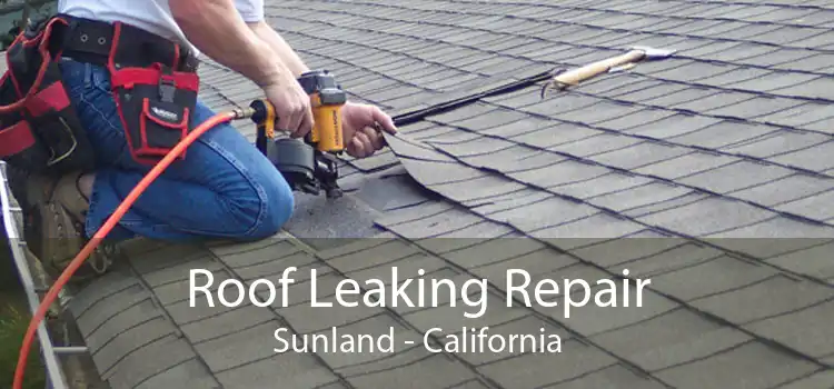 Roof Leaking Repair Sunland - California